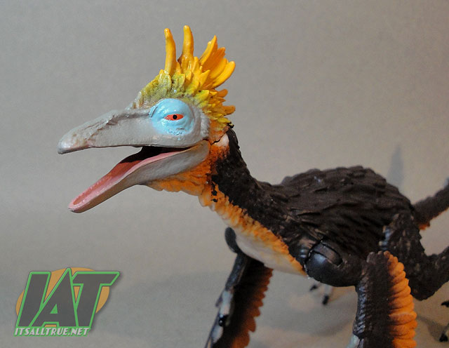 troodon dino dan